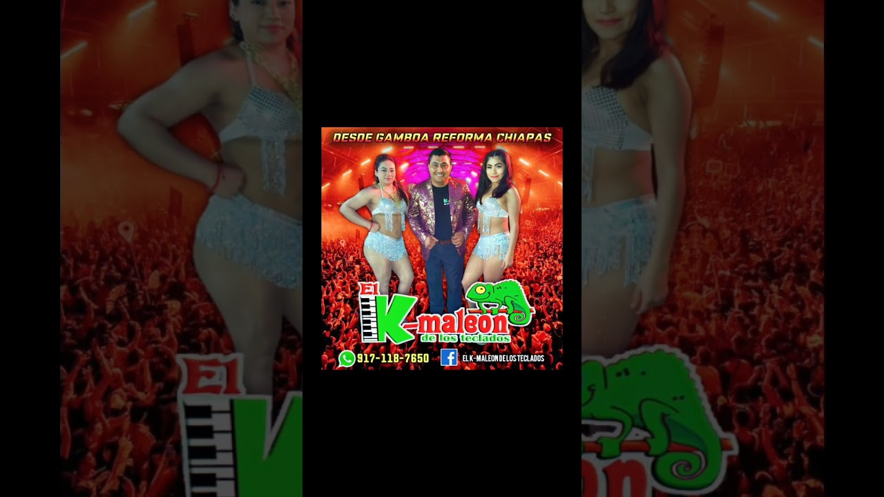 el camaleon de los teclados - MIX 2023 nuevas