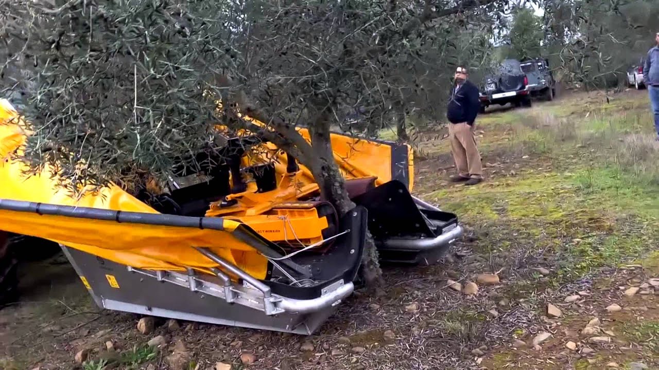 Máquina Coletora de Azeitona