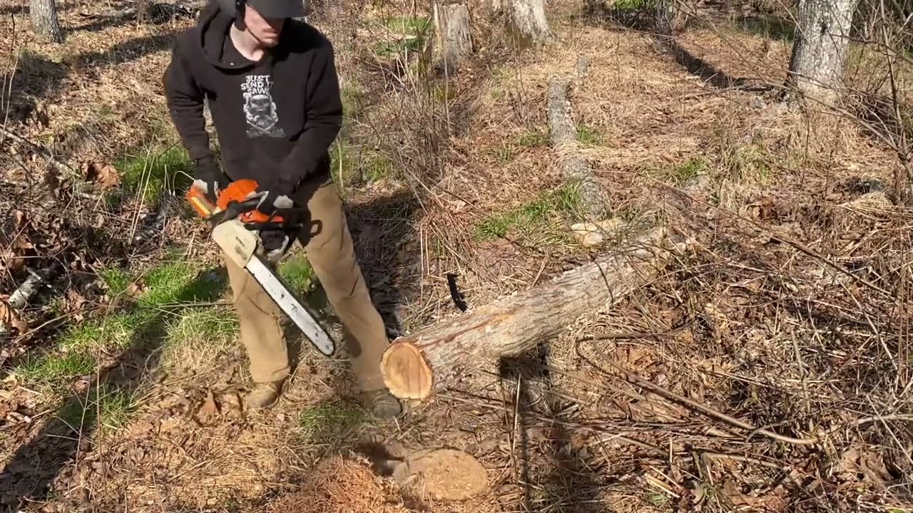 Mighty Stihl MS250 with Muffler Mod!!!!!!!