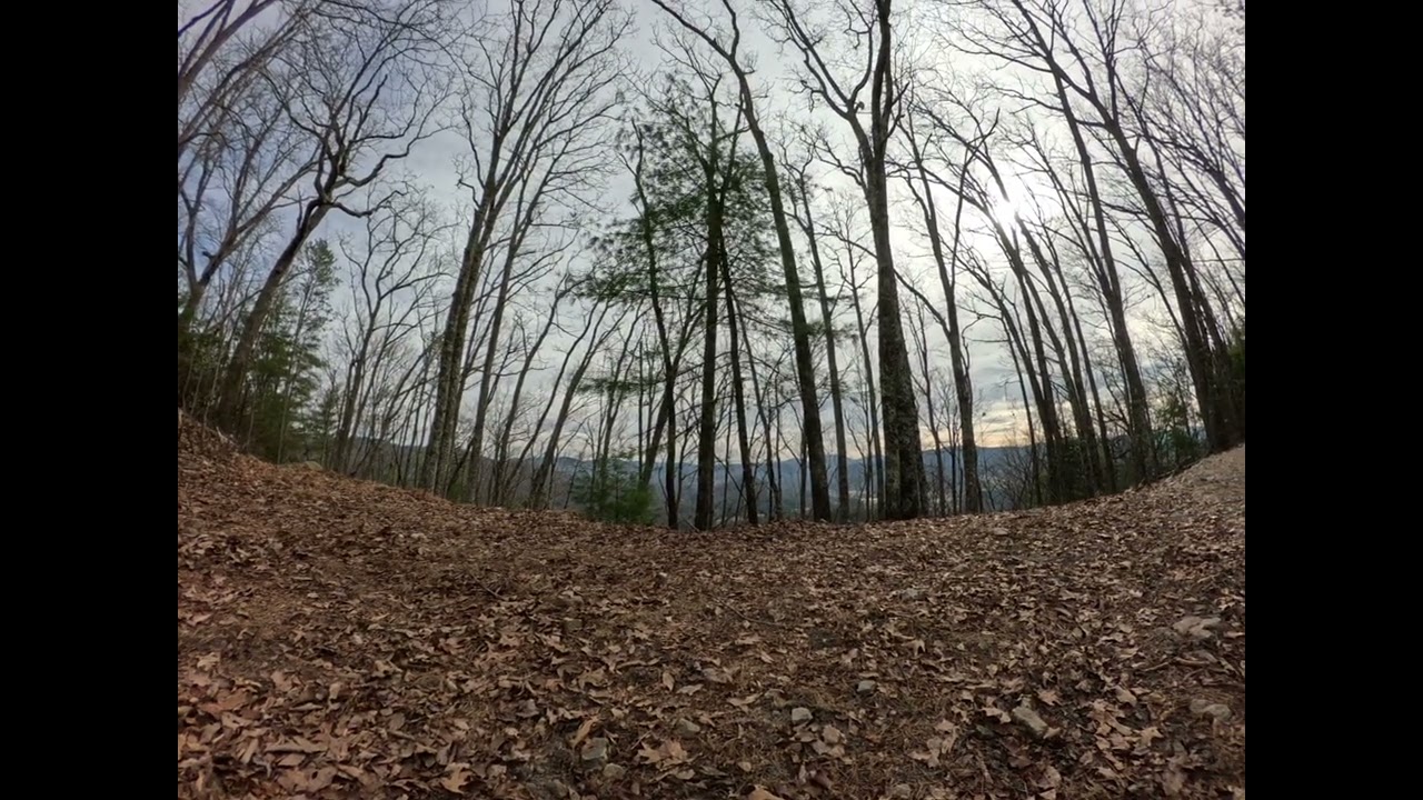 Doe Mountain Recreation Area Trail 411