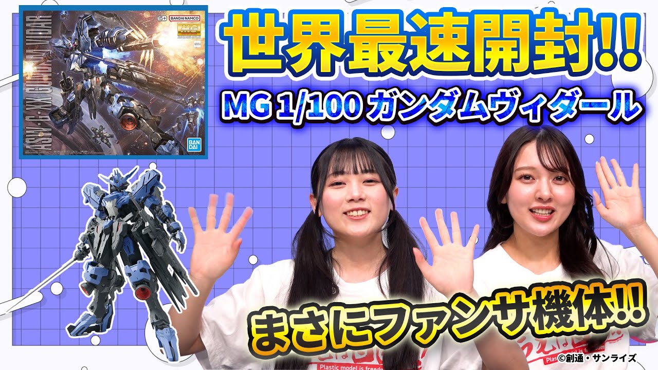 【#ガンプラ】世界最速「MG 1/100 ガンダムヴィダール」開封レビュー✨