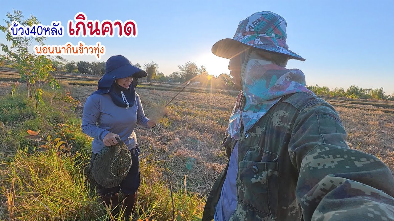 บ้วง40หลังหมานเกินคาด นอนนาฮ่างบ้วงกินข้าวทุ่ง