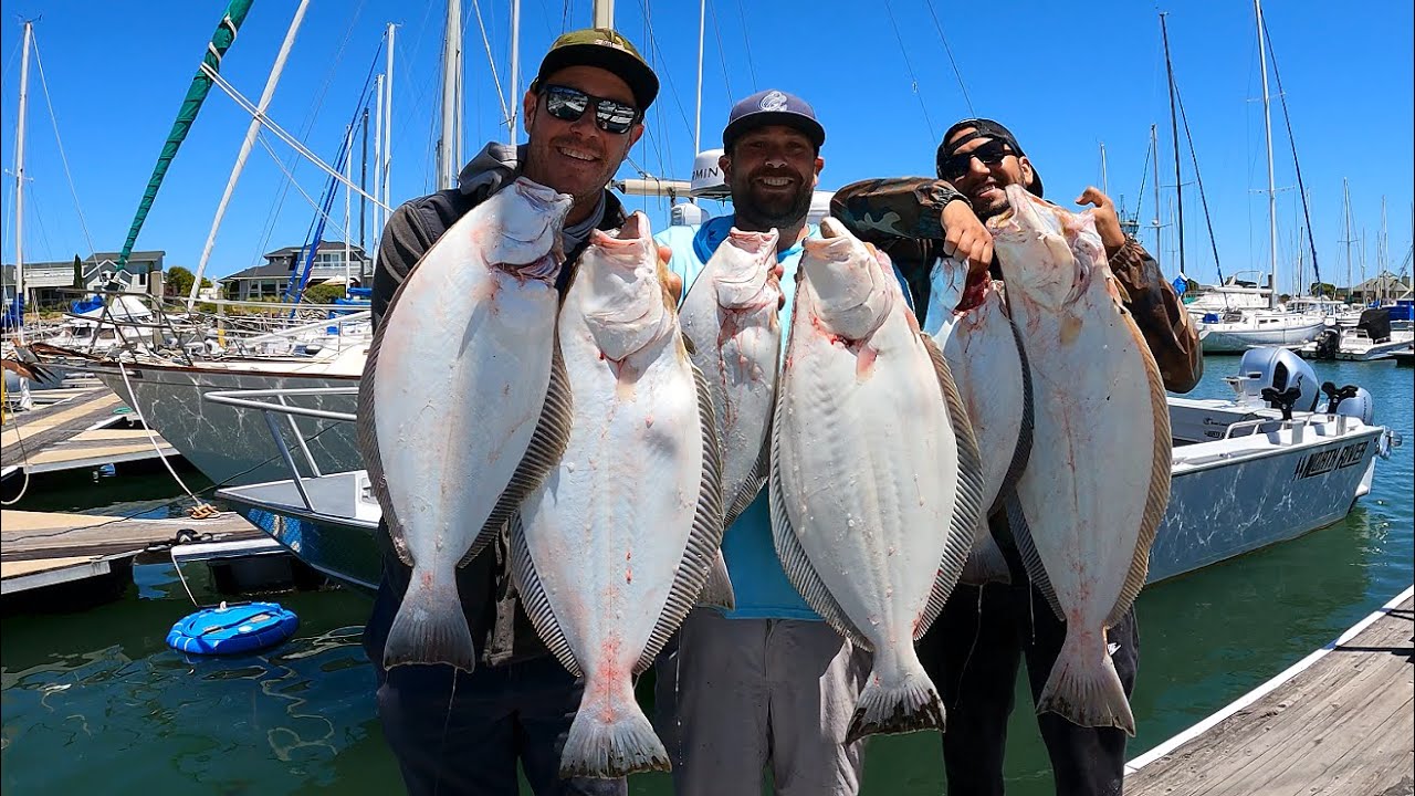 The Halibut Have Finally Arrived in Good Numbers!