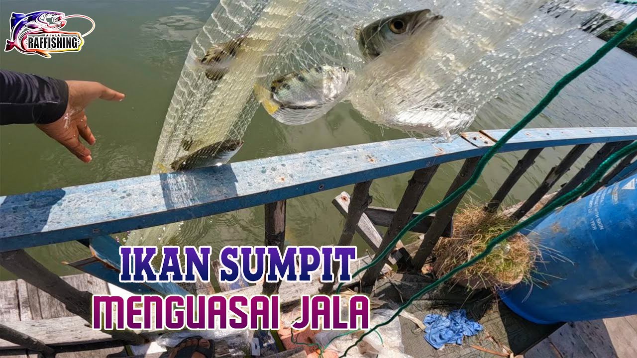 Memancing & Menjala Di Kelong Ayah Pak Non (APNK), Klang episod 4