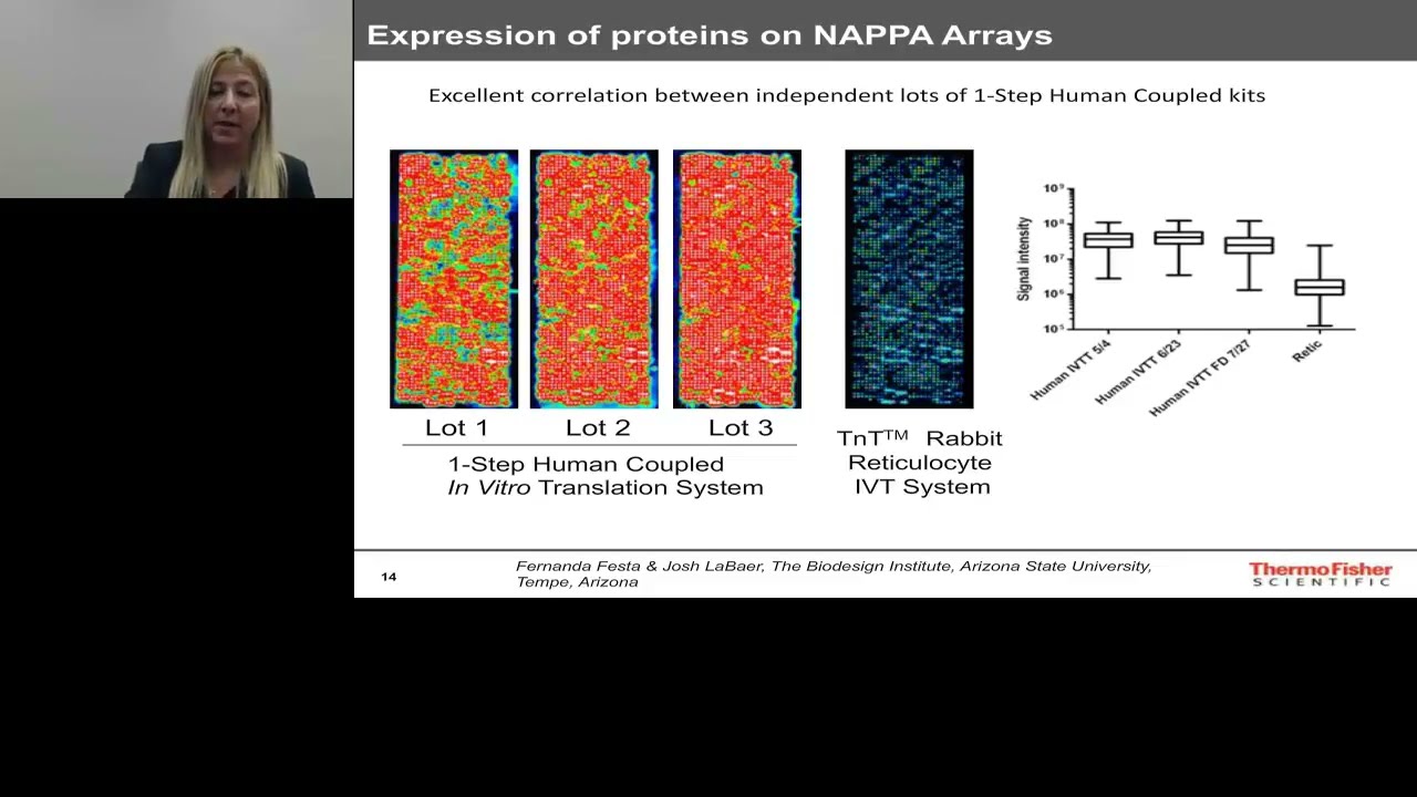 Gibco ExpressionWorld 2016: Mammalian in vitro translation (cell-free) systems for rapid protein exp