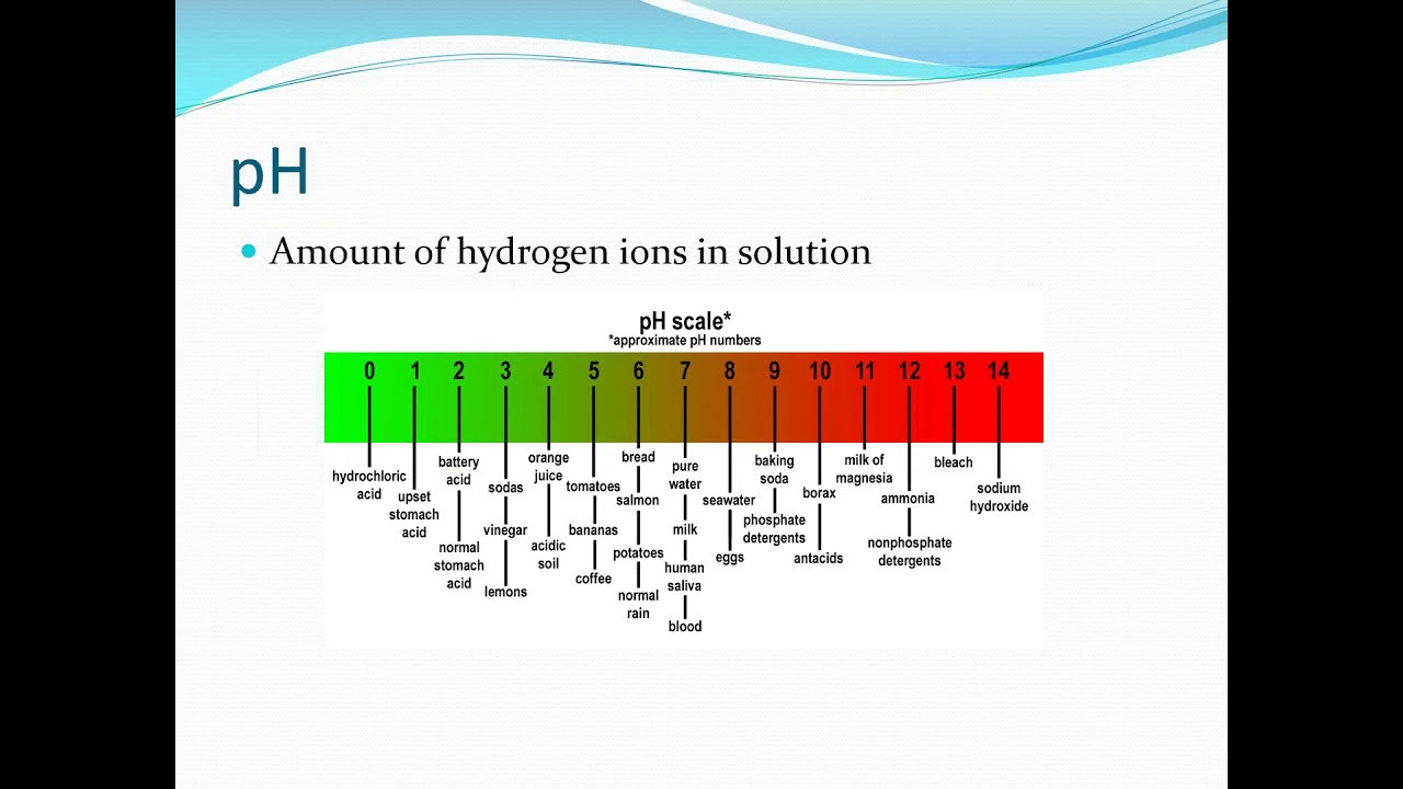Water Quality for Fish Owners
