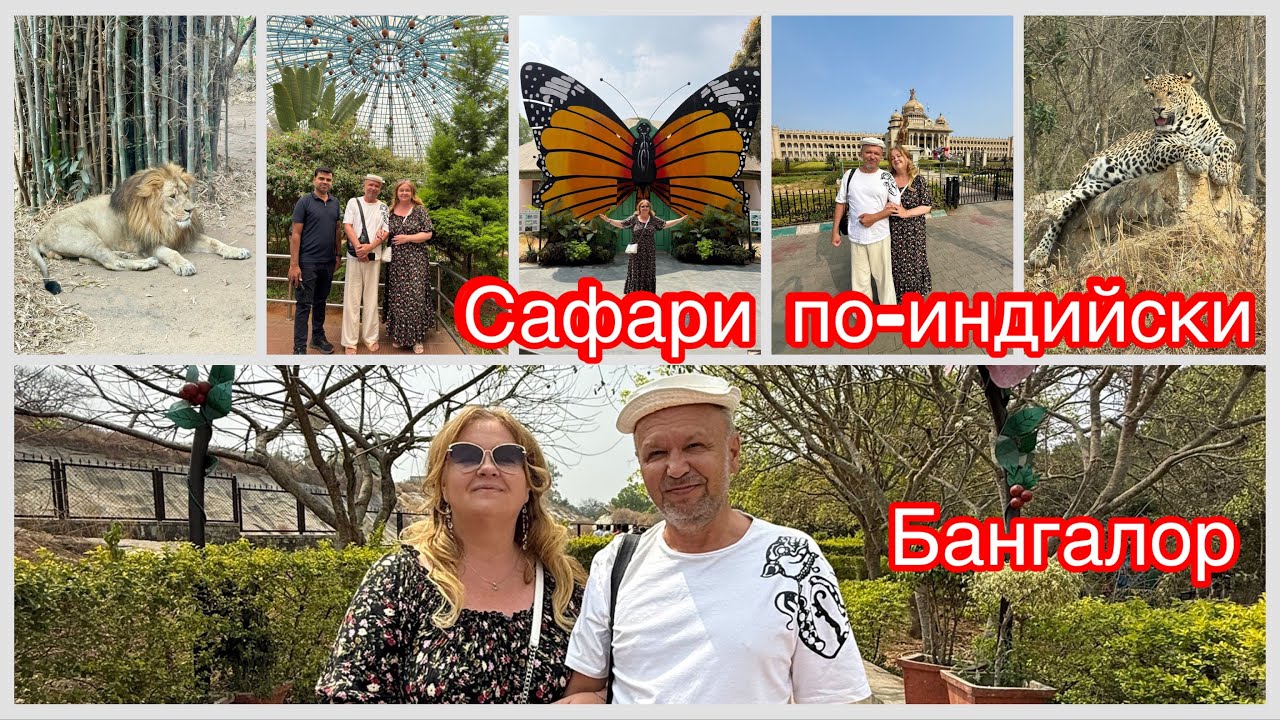 #22 Сафари за копейки по-индийски. Застрявшие в Индии 🫢 Национальный парк Бангалора. Индия 2026.