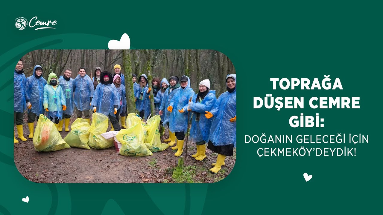 Toprağa Düşen Cemre Gibi: Doğanın Geleceği İçin Çekmeköy’deydik! 