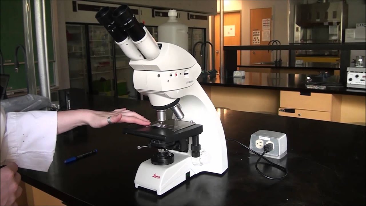 Microscope: Koehler Illumination and Focusing