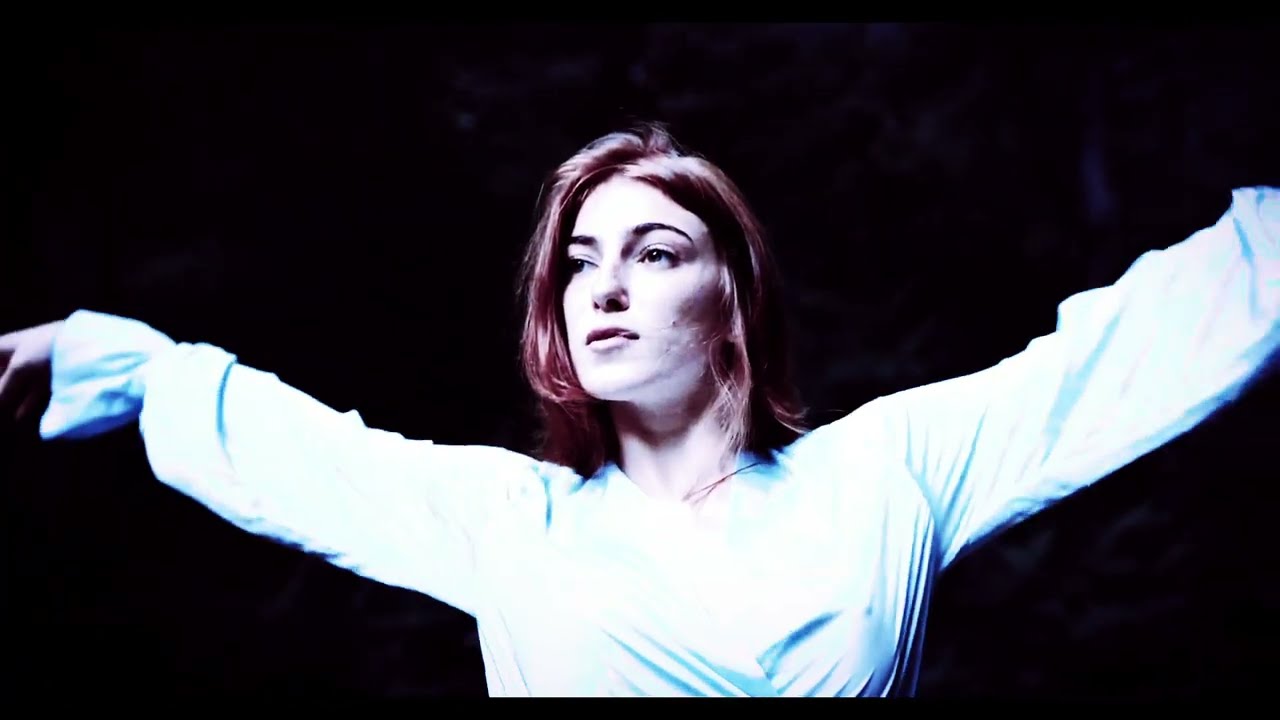 SCHMERZ - Sanguis Rose (Lyrics video)