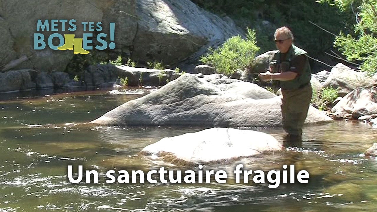 Truite sauvage : pêche sur la Dourbie, rivière préservée