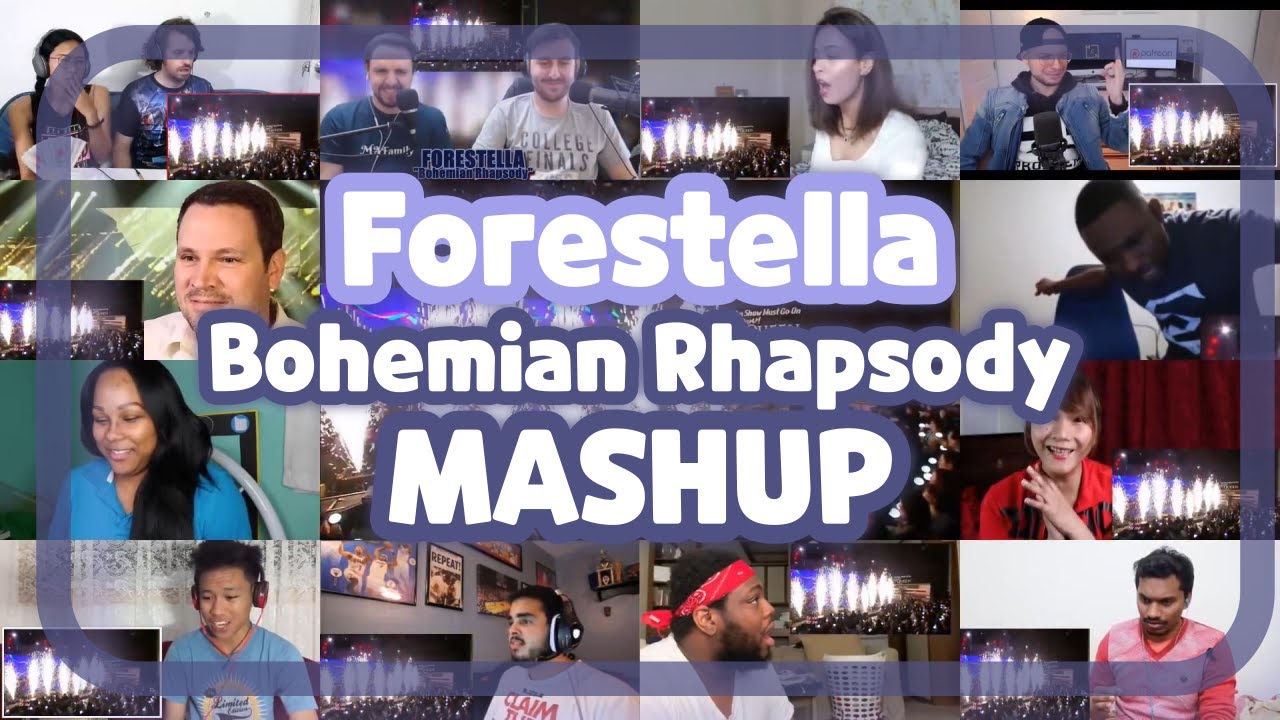 포레스텔라 Forestella 