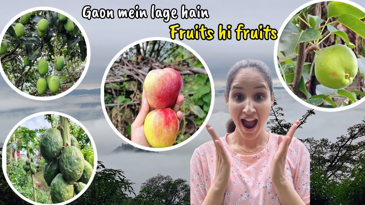Gaon Mein Lage Hain Fruits Hi Fruits 🍎🥭 🍐| Village Life Vlog | Nature Beauty & Organic Farming