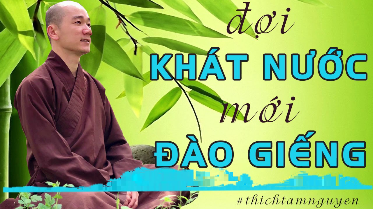 Bài Giảng Tuyệt Hay: Con Người Thường Chờ Khát Nước Mới Đào Giếng - Thích Tâm Nguyên