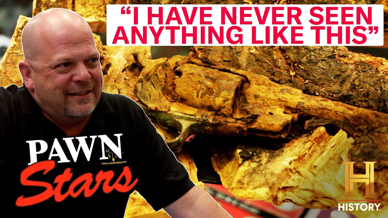 TOP 4 WEIRDEST GUNS OF ALL TIME! | Pawn Stars