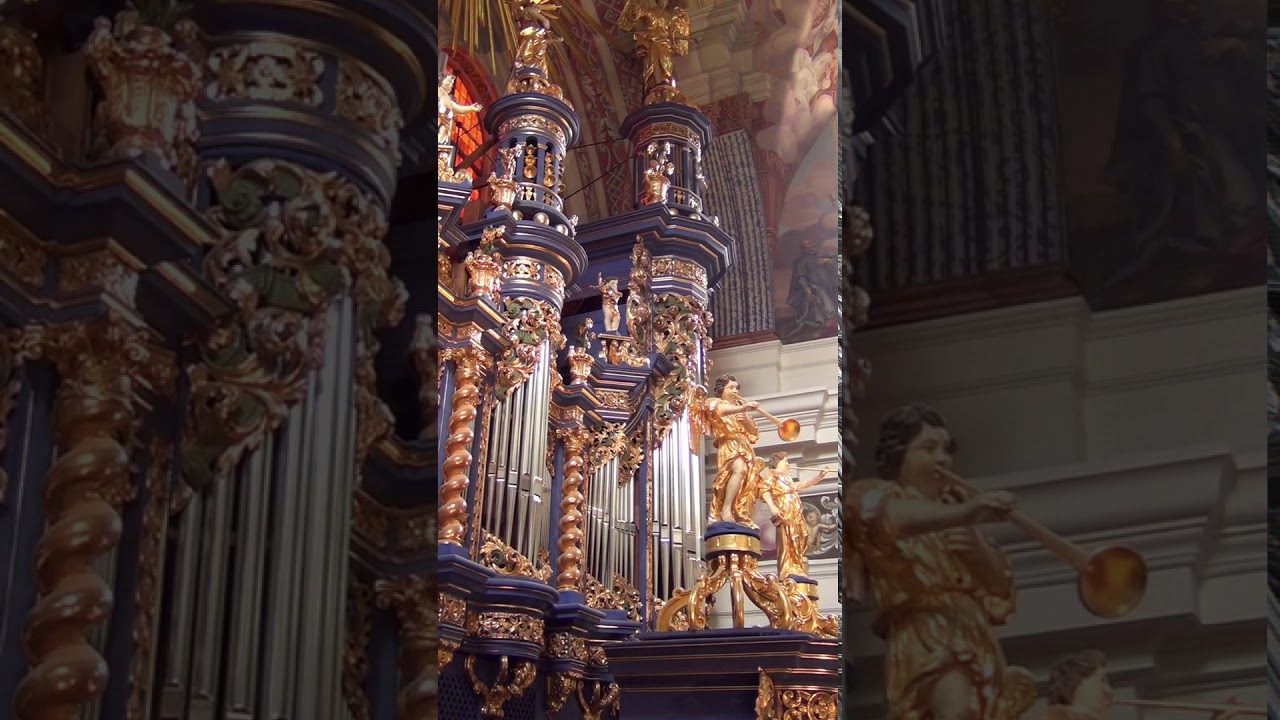 Jakub Choros - prezentacja organów, Święta Lipka, czerwiec 2014.