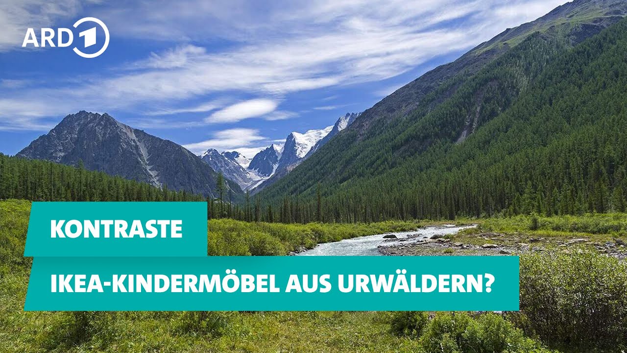 IKEA-Kindermöbel aus Urwäldern? | Kontraste