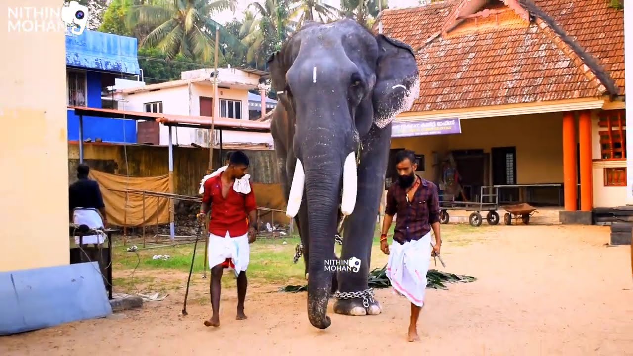 thechikottukavu devidasan