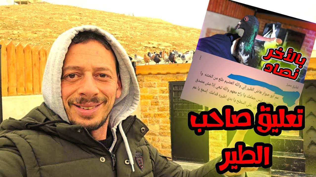 تواصل معي صاحب الطير بالتعليقات بس الطير مش راضي يروح من عندي