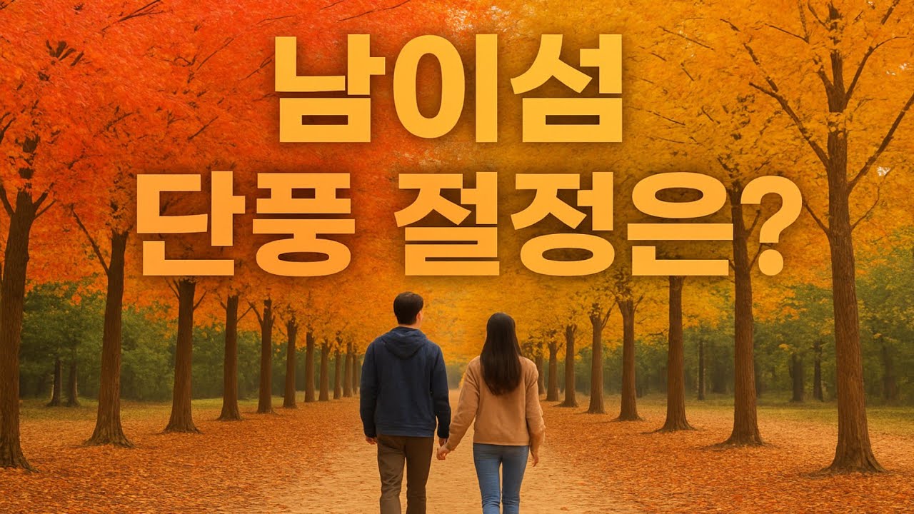 [Korea Autumn Colors] 남이섬 가장 아름다운 단풍은 언제? Nami Island, Korea's Representative Autumn Foliage Spot!