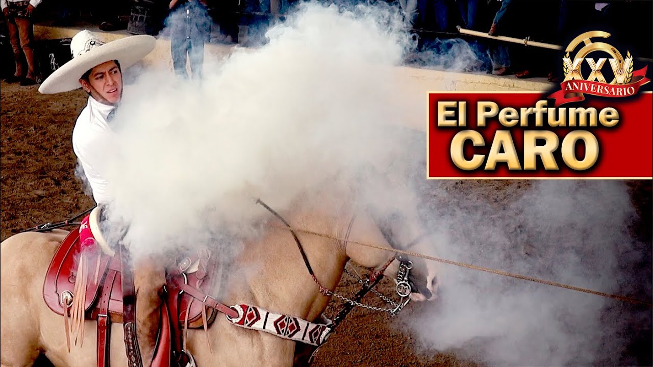 Piales - 2022 Campeonato Millonario THV - Piales en el Lienzo - 03 septiembre