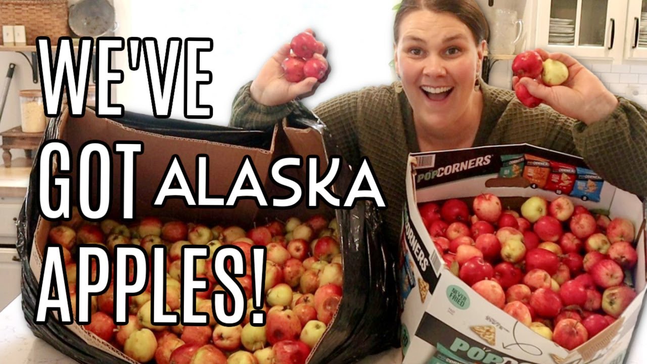 Big Apple Harvest Processing Day | Alaska Apples 4 Ways!