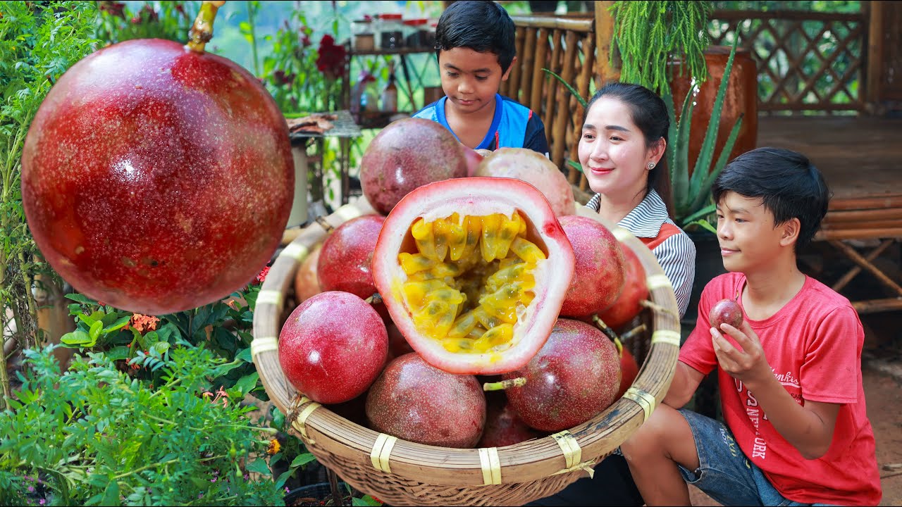 Fresh Passion fruit in my homeland | Passion fruit juice for my brother | Wild grapes wine cook pork