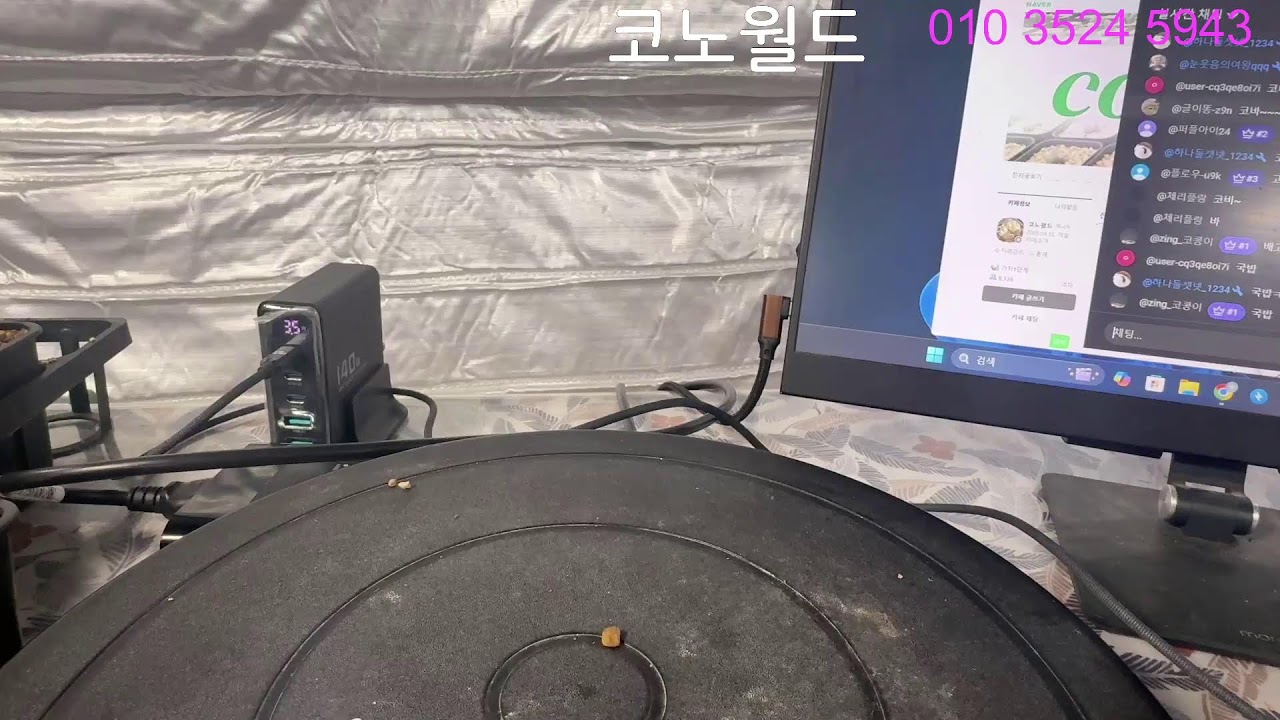 코노월드님 리갈 코노 빌로붐 도매