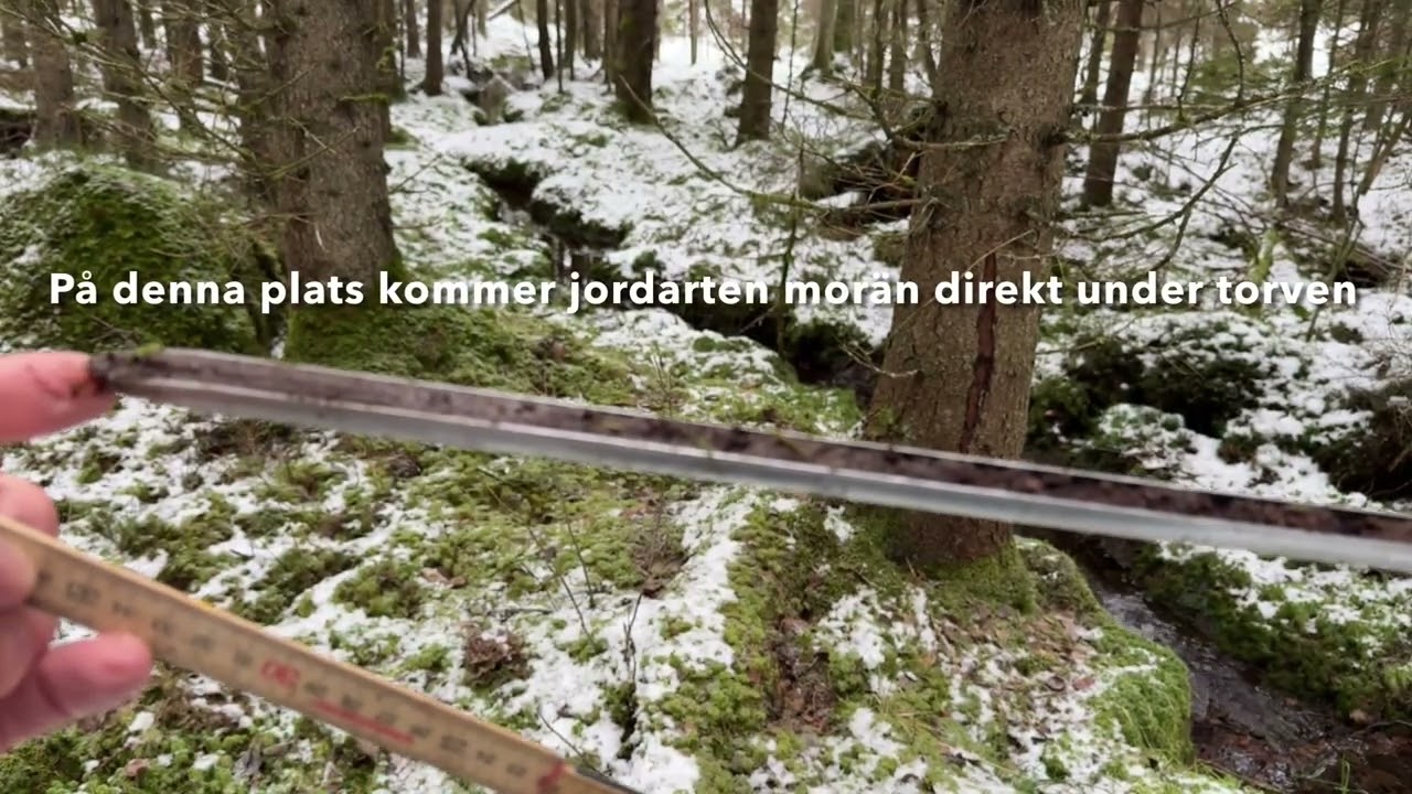 Geologin och vattnet. Geologi, vegetation och människa. Lite koll med Geologen Mange Magister!