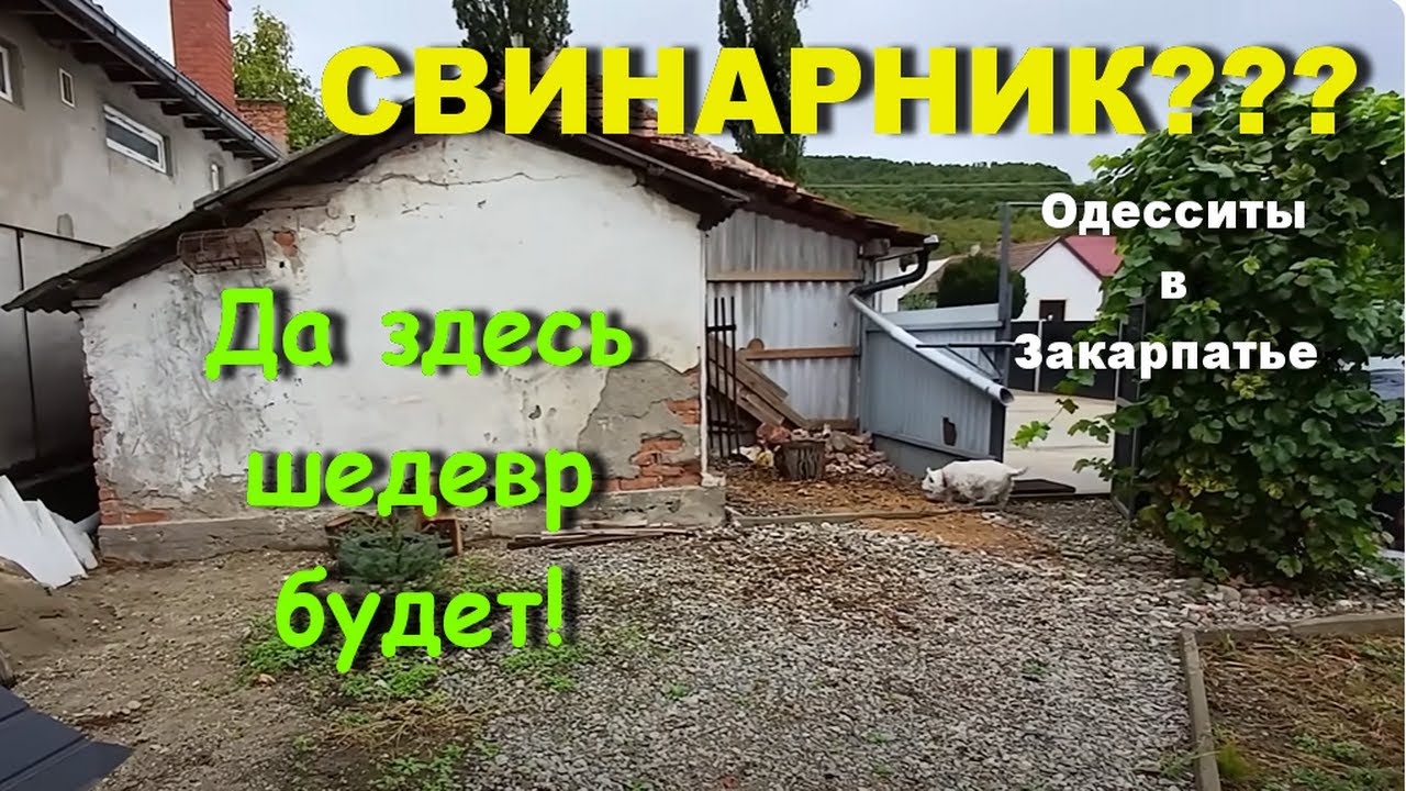 Планы на свинарник. Приятные моменты в мрачный день. Подписчики и подарки, распаковка из Флориума.