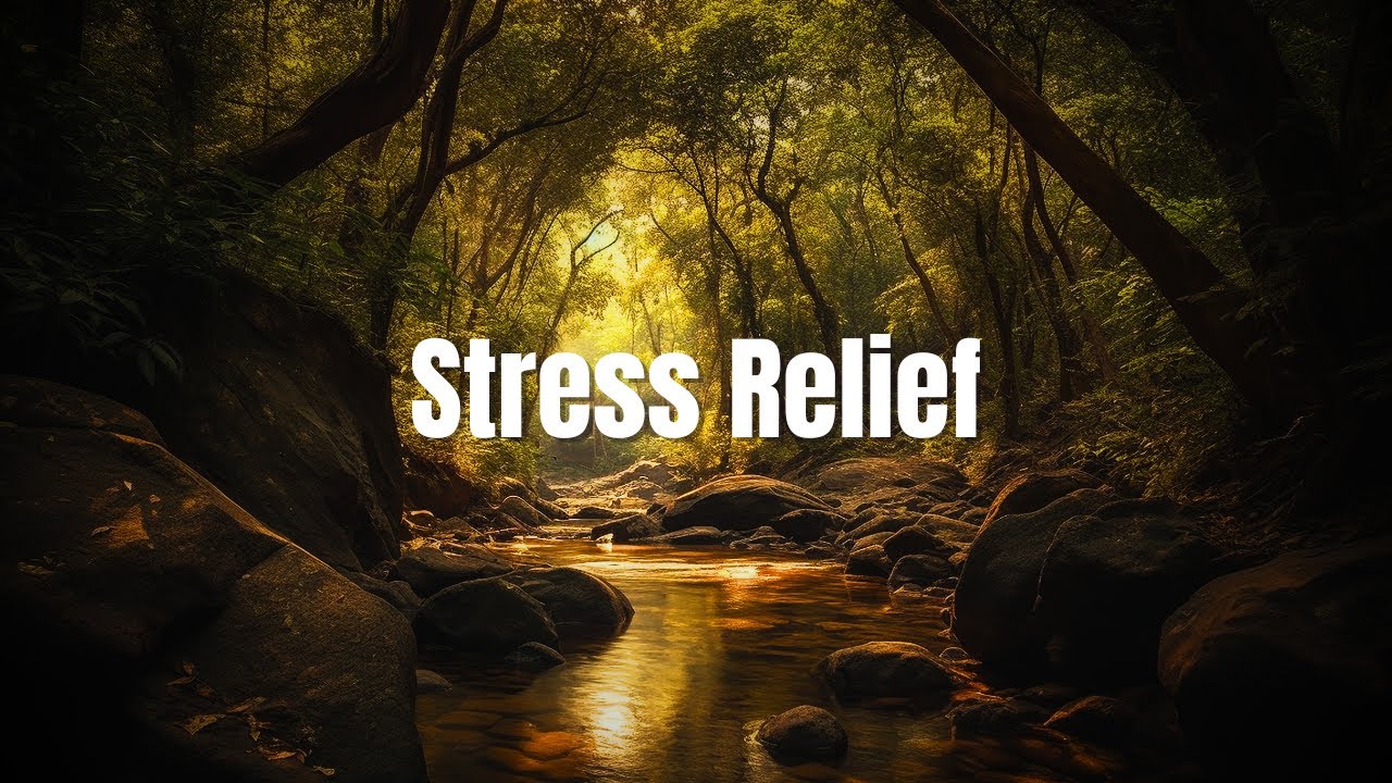 Relax Sounds for Deep Sleep and Stress Relief | Nature White Noise for Babies, Pets & Anxiety