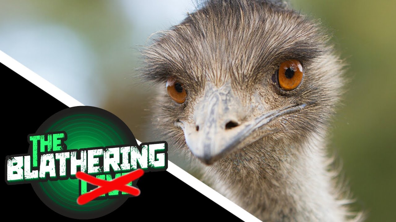 Did this EMU get ARRESTED? | True or Fake News Headlines