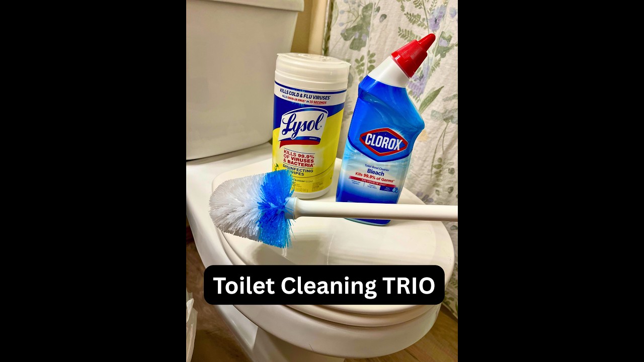 Best Toilet Cleaning Trio Review