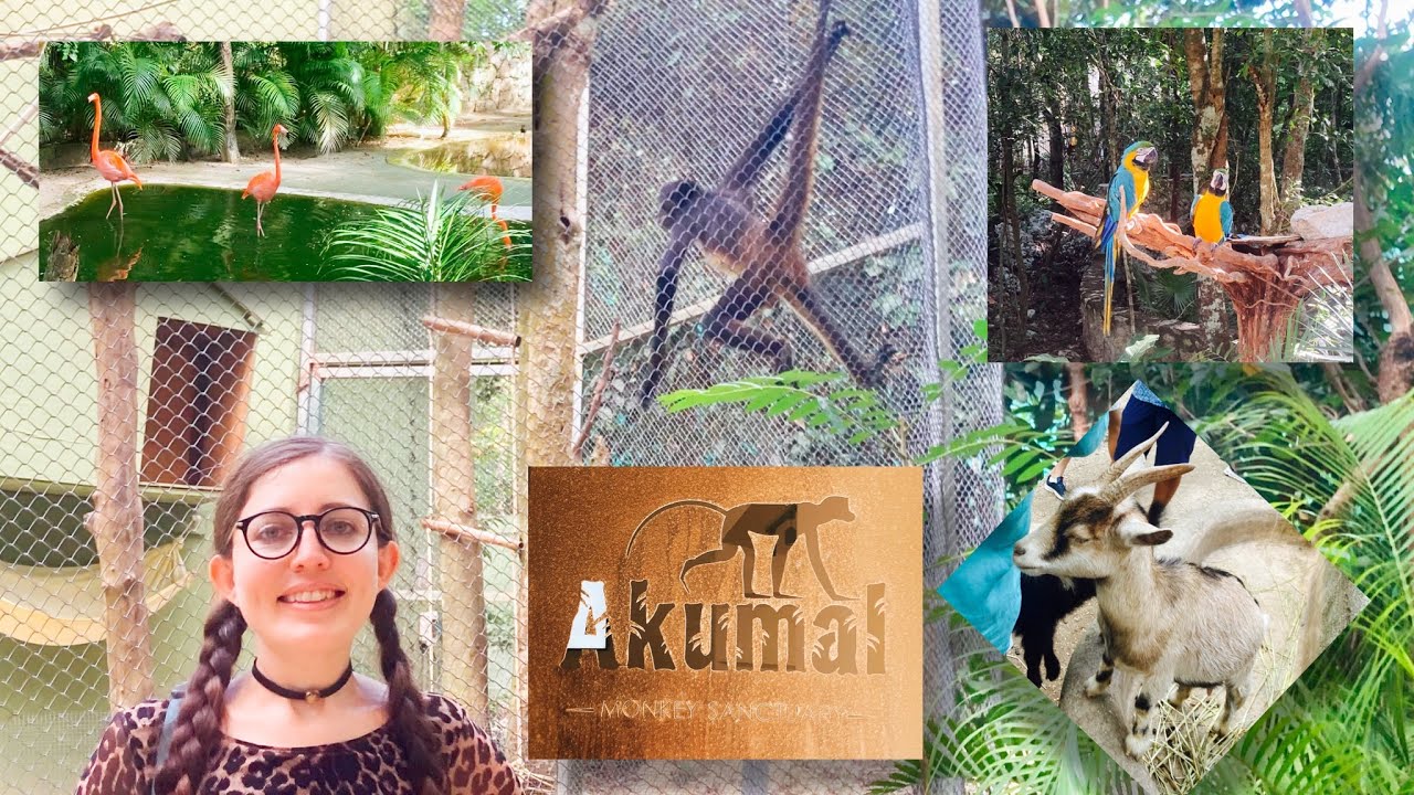 SANTUARIO DE MONOS AKUMAL