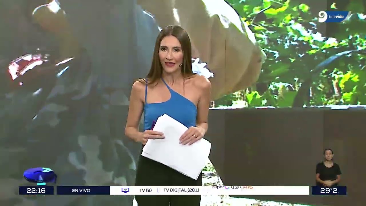 Buen pronóstico de cosecha: Mendoza comprará uva para mosto
