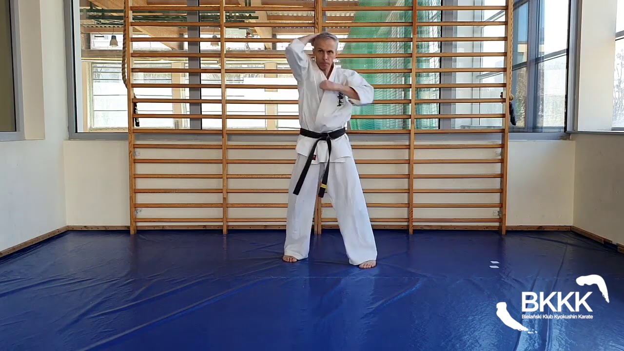 Techniki ręczne i nożne w karate