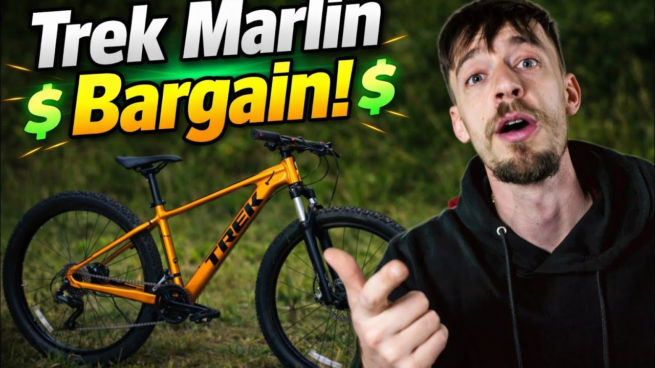 How to Make Easy Money Flipping Bikes ! 