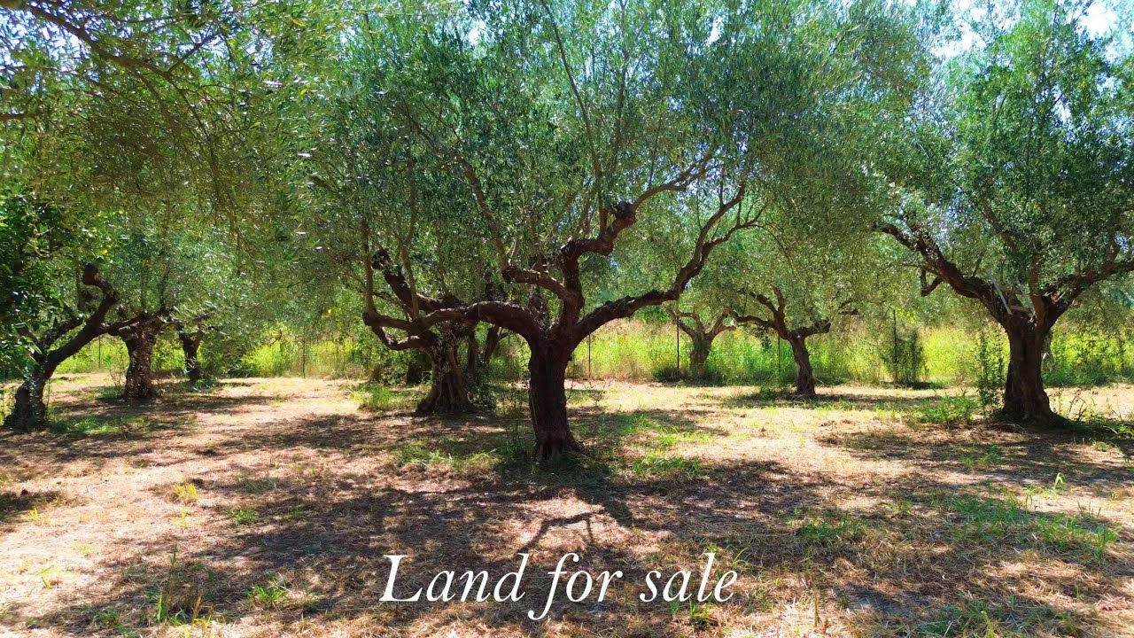 Land for sale