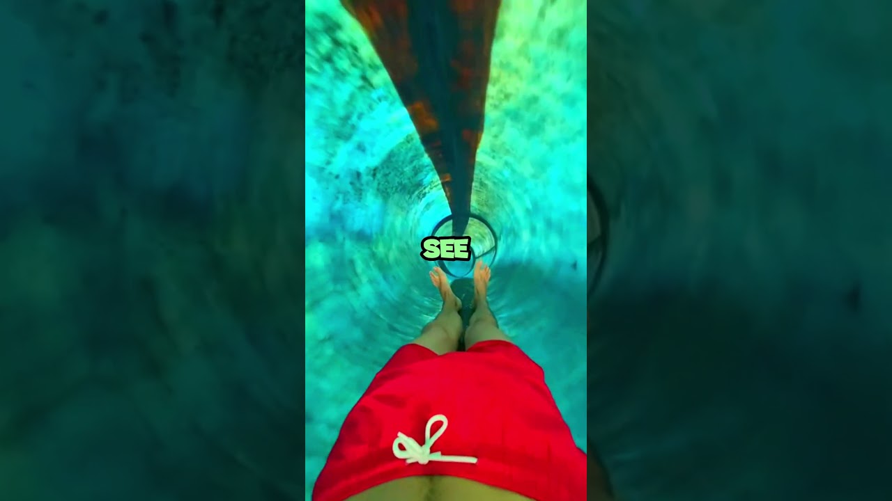 This Water Slide is Giving Major Glitch in the Matrix! | 