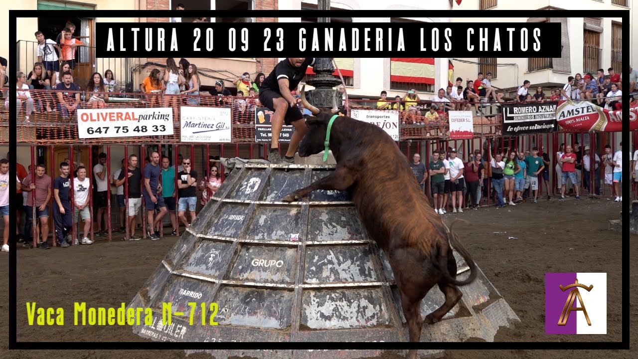 Altura 20 ▪ 09 ▪ 23 Tarde de Concurso ▪ Ganadería Los Chatos