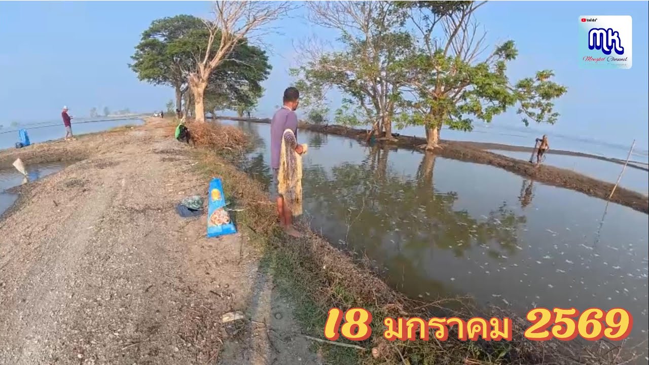 บ้านแหลม สุพรรณบุรี น้ำกำลังลง คนกำลังมา ปลาอย่างเยอะ