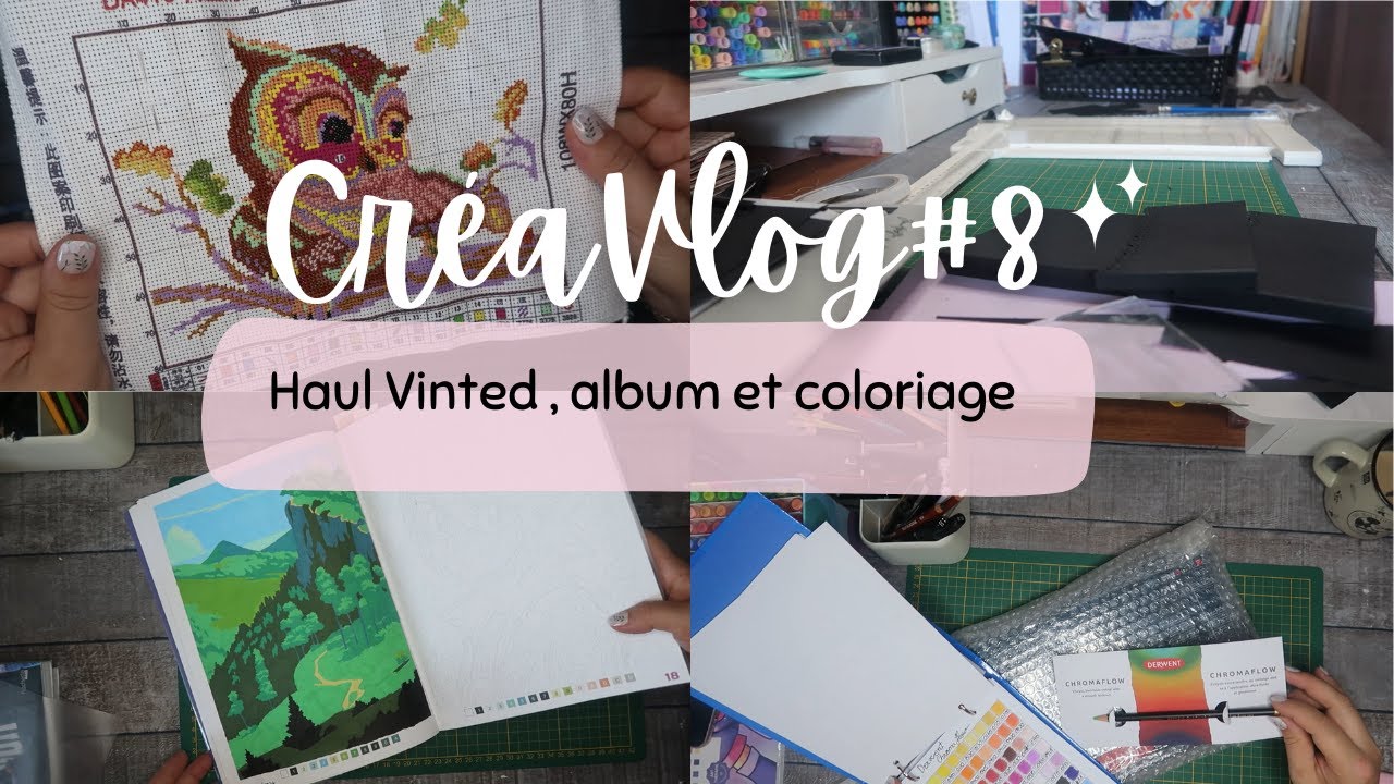 CréaVlog#8 Haul Vinted , album et coloriage