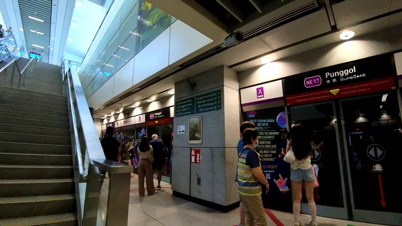 Punggol MRT/LRT Station | Paid transfer link walk from NEL Platforms to PGLRT Platforms | June 2025