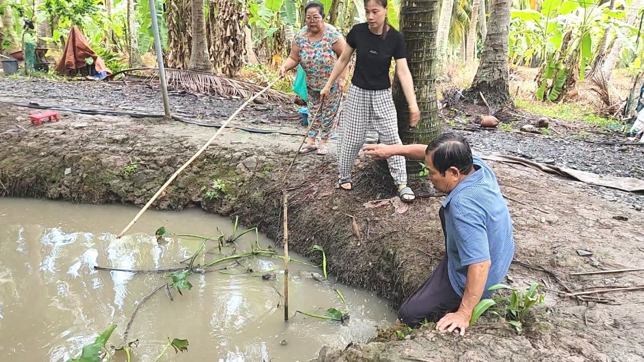 Gãy Cần Câu Khi Gặp Hàng Khủng Buộc Lòng Phải Phóng Xuống Mương Mới Kịp | BQCM & Family T1061