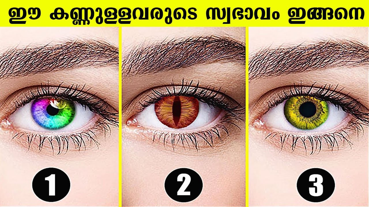 നിങ്ങളുടെ കണ്ണിന്  ഈ നിറം ആണെങ്കിൽ തീർച്ചയായും നിങ്ങൾ ഭാഗ്യം ചെയ്തവരാണ്