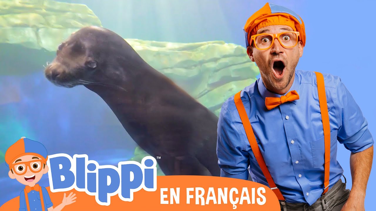 À la découverte des animaux sous-marins avec Blippi | Blippi en français | Vidéos éducatives