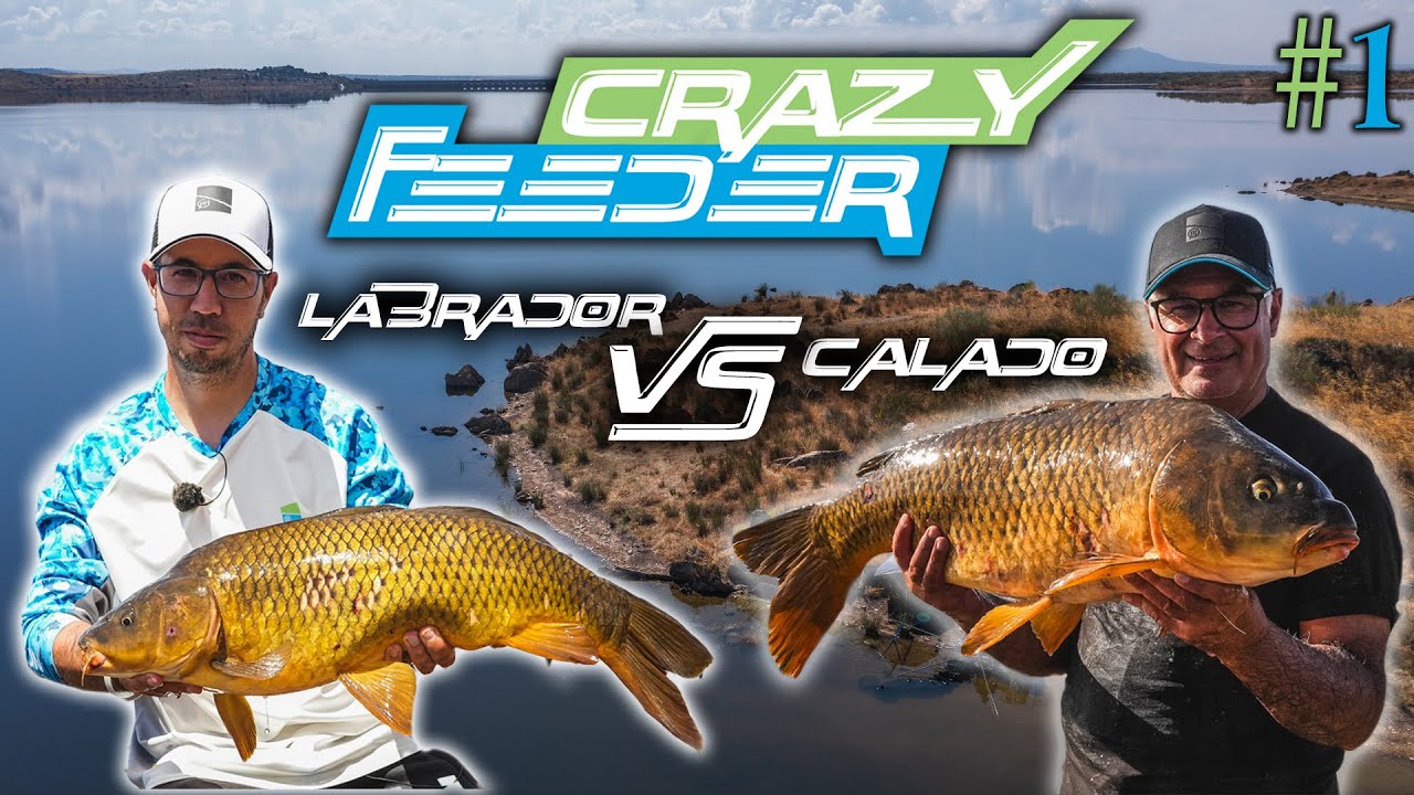 CRAZY FEEDER #1- LABRADOR VS CALADO/SIERRA BRAVA.  ***PRESTON INNOVATIONS FISHING TV***