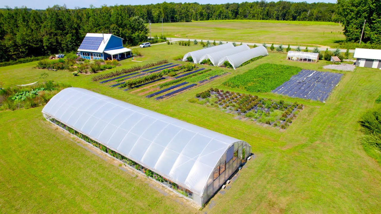 No-Till Flower Farm & Family Homestead
