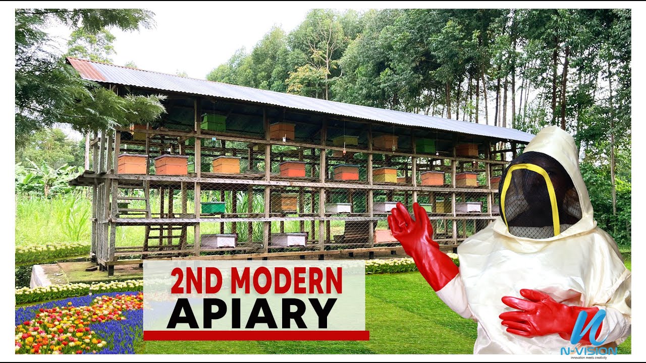 Apiary review for new Bee Keepers