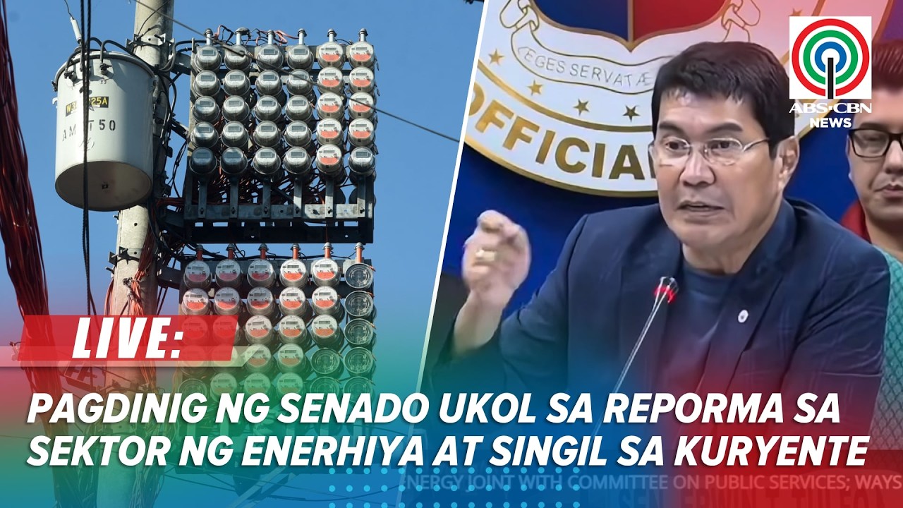 LIVE: Senate holds joint committee hearing on energy sector reforms and electricity rates | July 30